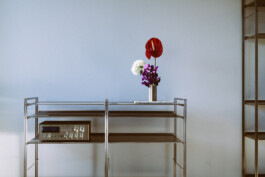 STUDIO BERGOB